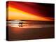 Dog at Sunset-Josh Adamski-Premier Image Canvas