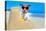 Dog at the Beach-Javier Brosch-Premier Image Canvas