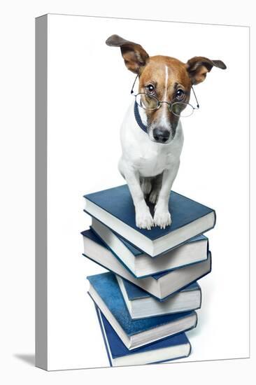 Dog Book Stack-Javier Brosch-Premier Image Canvas