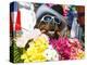 Dog Carrying Flowers at the Carnival in Funchal, Madeira, Portugal, Europe-Michael Runkel-Premier Image Canvas