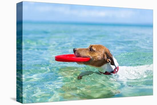 Dog Catching a Red Flying Disc and Swimming in Water-Javier Brosch-Premier Image Canvas