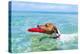 Dog Catching a Red Flying Disc and Swimming in Water-Javier Brosch-Premier Image Canvas