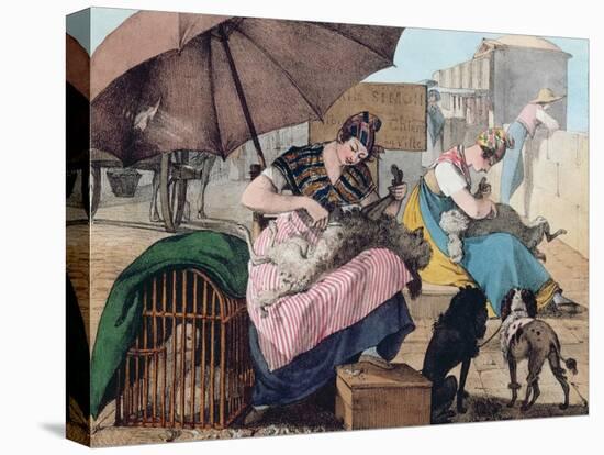 Dog Clippers on the Pont-Neuf, 1820 (Colour Litho)-John James Chalon-Premier Image Canvas