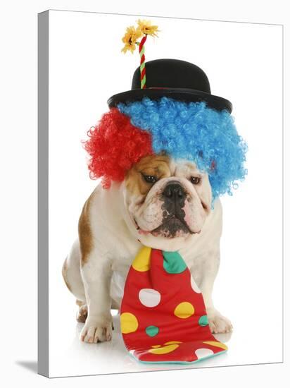 Dog Clown-Willee Cole-Premier Image Canvas