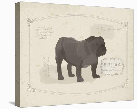 Dog Club - Bulldog-Clara Wells-Stretched Canvas