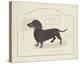 Dog Club - Dachshund-Clara Wells-Stretched Canvas