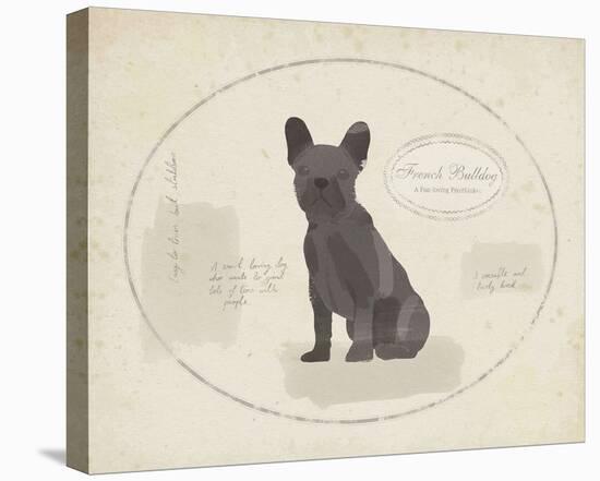 Dog Club - French Bulldog-Clara Wells-Stretched Canvas