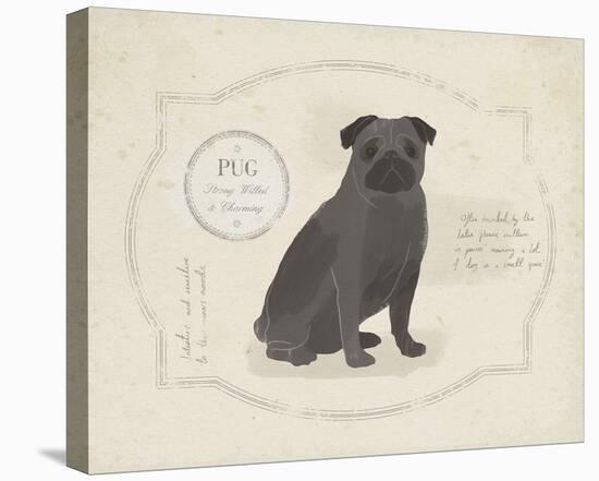 Dog Club - Pug-Clara Wells-Stretched Canvas