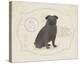 Dog Club - Pug-Clara Wells-Stretched Canvas