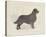 Dog Club - Retriever-Clara Wells-Stretched Canvas