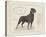 Dog Club - Rottweiler-Clara Wells-Stretched Canvas