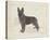Dog Club - Shepherd-Clara Wells-Stretched Canvas