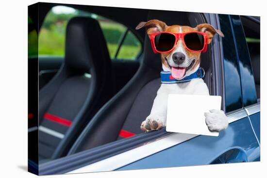 Dog Drivers License-Javier Brosch-Premier Image Canvas