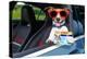 Dog Drivers License-Javier Brosch-Premier Image Canvas