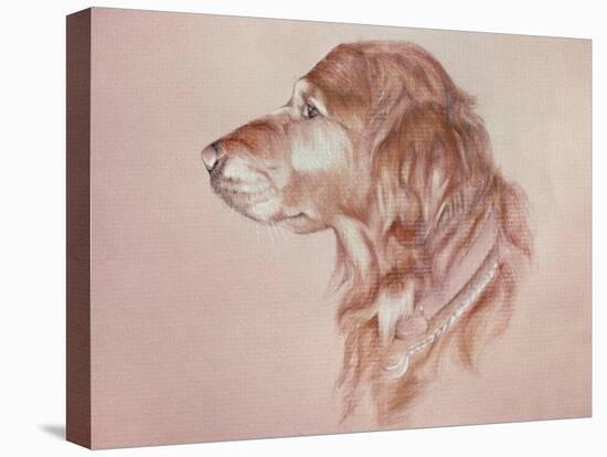 Dog Eight-Rusty Frentner-Premier Image Canvas