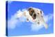 Dog Flying - English Bulldog Flying In The Cloudy Blue Sky-Willee Cole-Premier Image Canvas