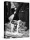 Dog Gets Snow Brushed from His Coat by Hotel Doorman-Alfred Eisenstaedt-Premier Image Canvas