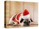 Dog in Santa Suit-Don Mason-Premier Image Canvas