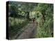 Dog Leads the Way for Donkey and Keeper, Near Cotopaxi Volcano, Ecuador, South America-Aaron McCoy-Premier Image Canvas