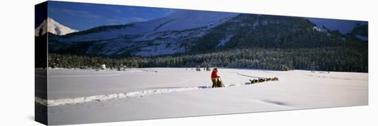 Dog Musher and Sled Dog Team on Snow-Covered Trail, Chugach Mountains, Alaska, USA-null-Premier Image Canvas