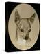 Dog Nine-Rusty Frentner-Premier Image Canvas