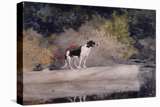 Dog on a Log, 1889 (W/C & Graphite on Wove Paper)-Winslow Homer-Premier Image Canvas