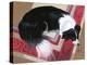 Dog on a Rug-Durwood Coffey-Premier Image Canvas