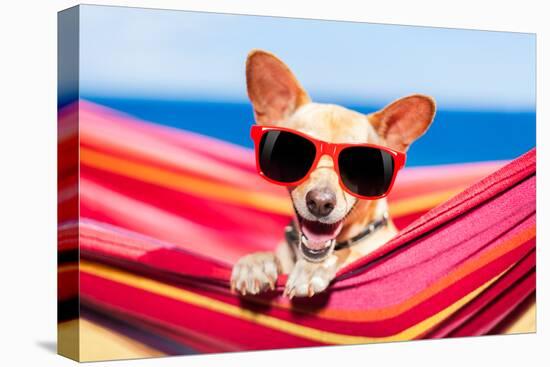 Dog on Hammock-Javier Brosch-Premier Image Canvas