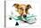 Dog on Scale-Javier Brosch-Premier Image Canvas