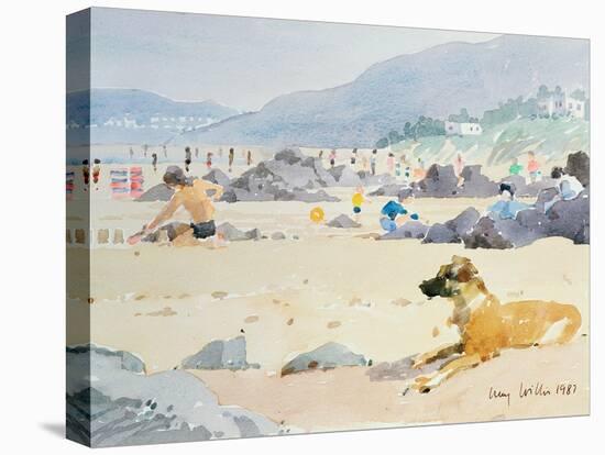 Dog on the Beach, Woolacombe, 1987-Lucy Willis-Premier Image Canvas