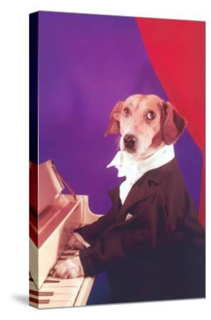 'Dog Playing Piano' Art Print | Art.com
