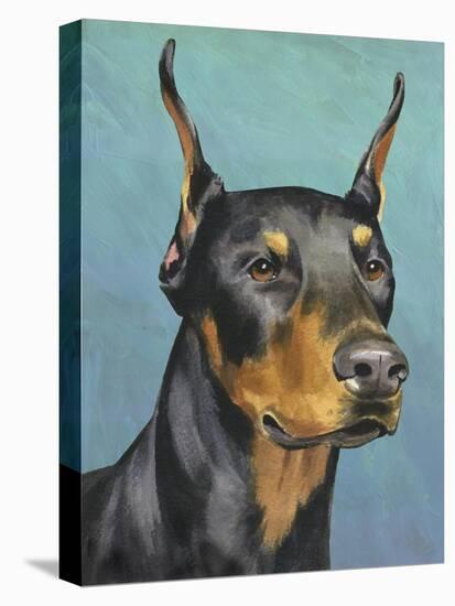 Dog Portrait, Dobie-Jill Sands-Stretched Canvas