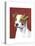 Dog Portrait, Jack-Jill Sands-Stretched Canvas