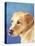 Dog Portrait, Yellow Lab-Jill Sands-Stretched Canvas