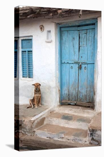 Dog resting outside a house, Jojawar, Rajasthan, India.-Inger Hogstrom-Premier Image Canvas