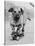 Dog Riding Skateboard-Bettmann-Premier Image Canvas