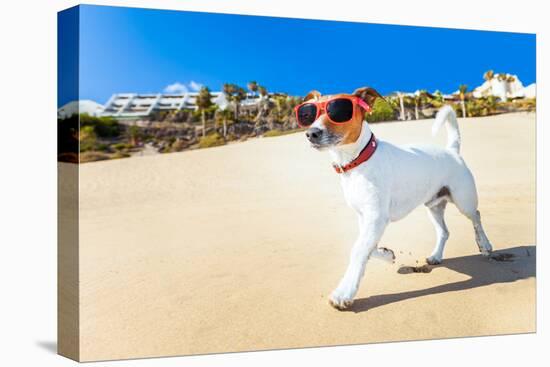 Dog Running at Beach-Javier Brosch-Premier Image Canvas