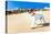 Dog Running at Beach-Javier Brosch-Premier Image Canvas