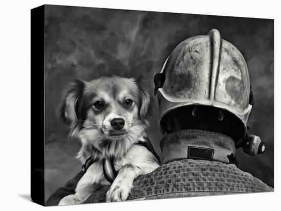 Dog's Best Friend.-Renato J.-Premier Image Canvas