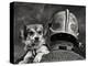 Dog's Best Friend.-Renato J.-Premier Image Canvas