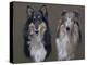 Dog Seven-Rusty Frentner-Premier Image Canvas