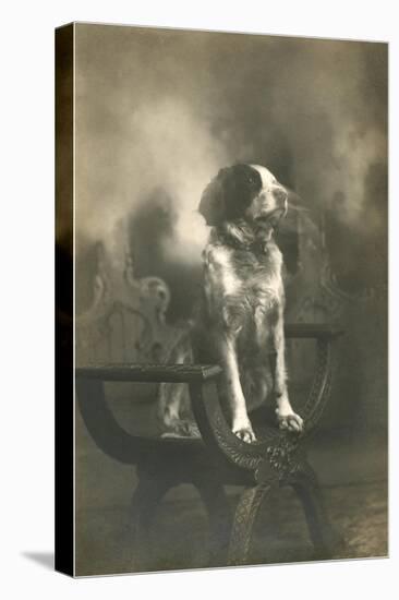 Dog Sitting on Carved Wooden Chair-null-Stretched Canvas