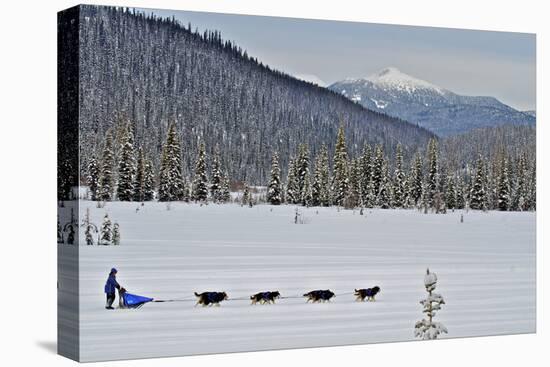 Dog Sled Races are a Popular Winter Passion for Many Mushers in Northern Climates-Richard Wright-Premier Image Canvas