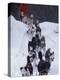 Dog Sled Racing in the 1991 Iditarod Sled Race, Alaska, USA-Paul Souders-Premier Image Canvas