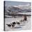 Dog Sledding With Huskies, Tromso Wilderness Centre, Norway, Scandinavia, Europe-null-Premier Image Canvas