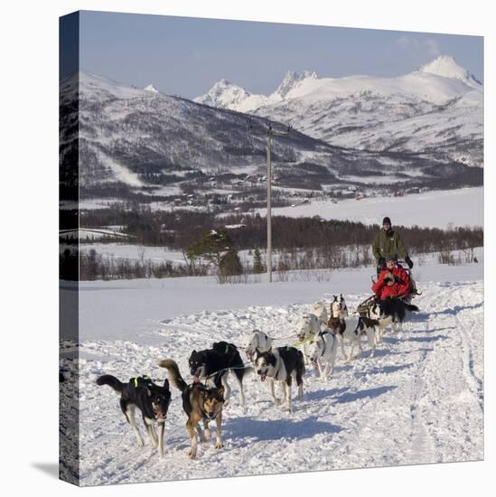 Dog Sledding With Huskies, Tromso Wilderness Centre, Norway, Scandinavia, Europe-null-Premier Image Canvas
