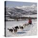 Dog Sledding With Huskies, Tromso Wilderness Centre, Norway, Scandinavia, Europe-null-Premier Image Canvas