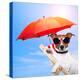 Dog Sunbathing On A Deck Chair-Javier Brosch-Premier Image Canvas