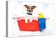 Dog Taking A Bath in A Colorful Bathtub with A Plastic Duck-Javier Brosch-Premier Image Canvas