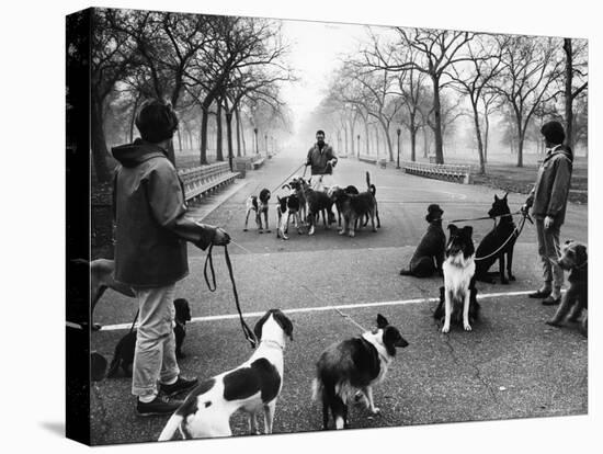 Dog Walkers in Central Park-Alfred Eisenstaedt-Premier Image Canvas